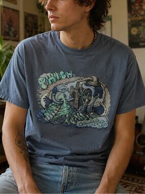 Phish Summer Tour 2023 Comfort Wash Graphic T Shirt Gray Blue Small